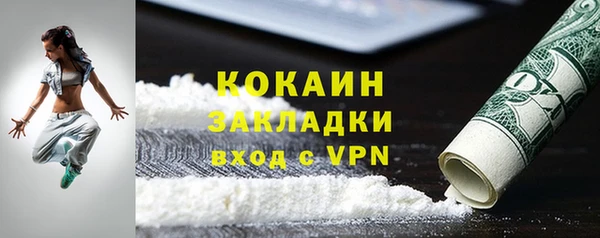 индика Балахна