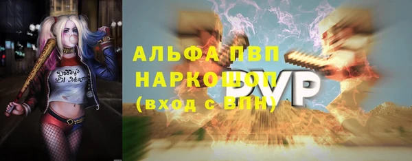 индика Балахна