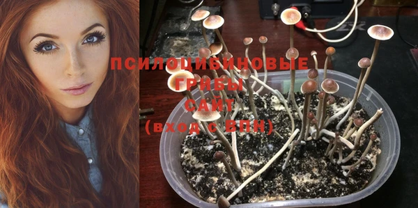 индика Балахна