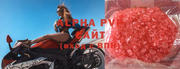 индика Балахна