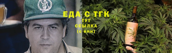 индика Балахна